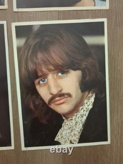 Four individual color portraits of George Harrison, Paul McCartney &John Lennon