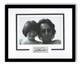 Julian Lennon Autograph Signed 11x14 Framed Photo Beatles John Lennon Son