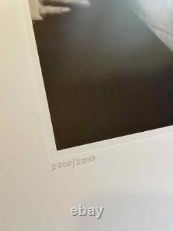 The Beatles John Lennon Double Fantasy Lithograph Art Print LENONO 2500/2500